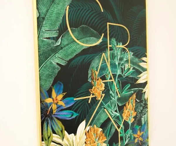 Feriehus La Vigne Albi